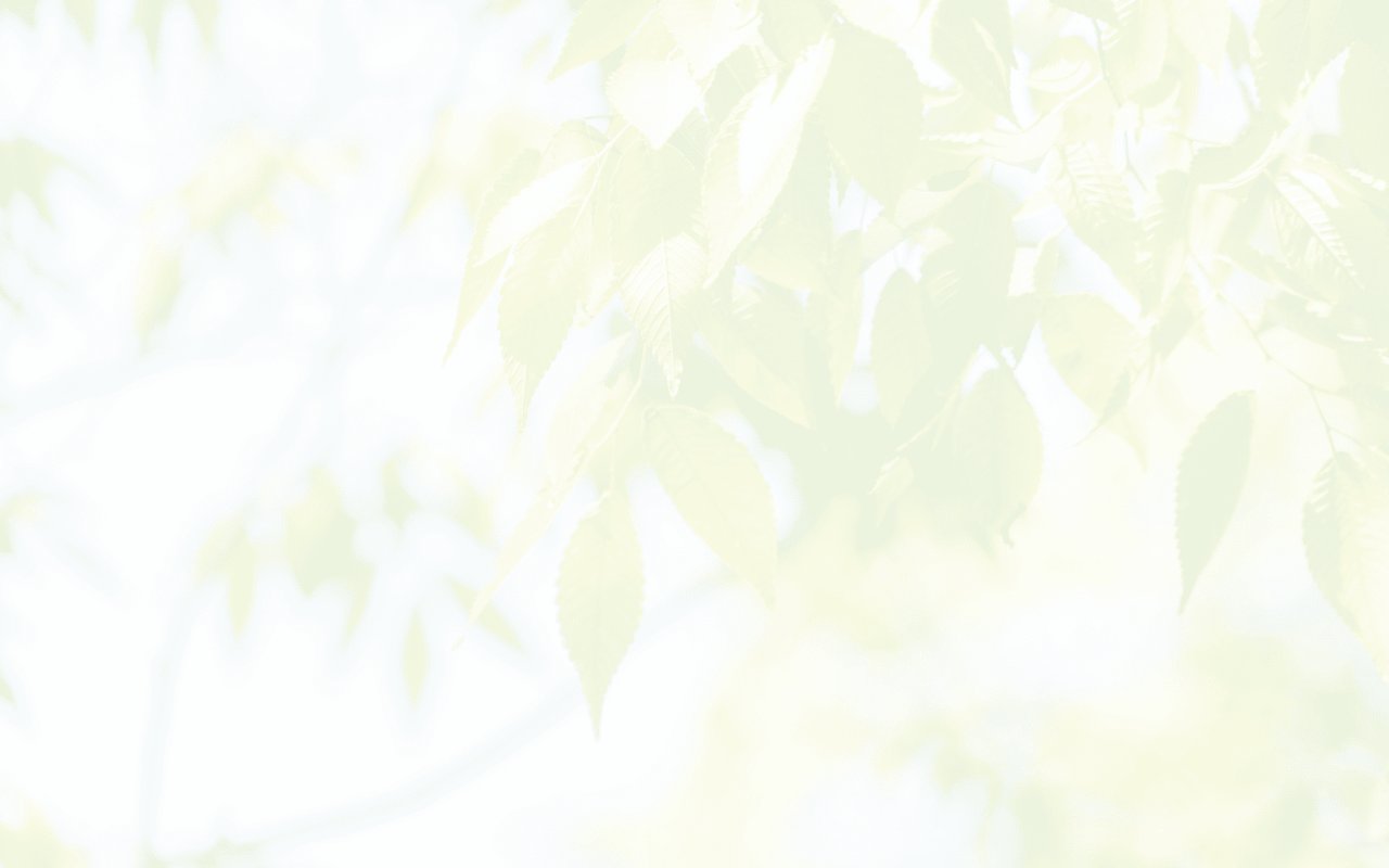 障がい者活動センター えくぼひたちなかの公式サイト